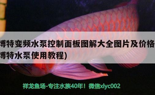 博特變頻水泵控制面板圖解大全圖片及價(jià)格(博特水泵使用教程)