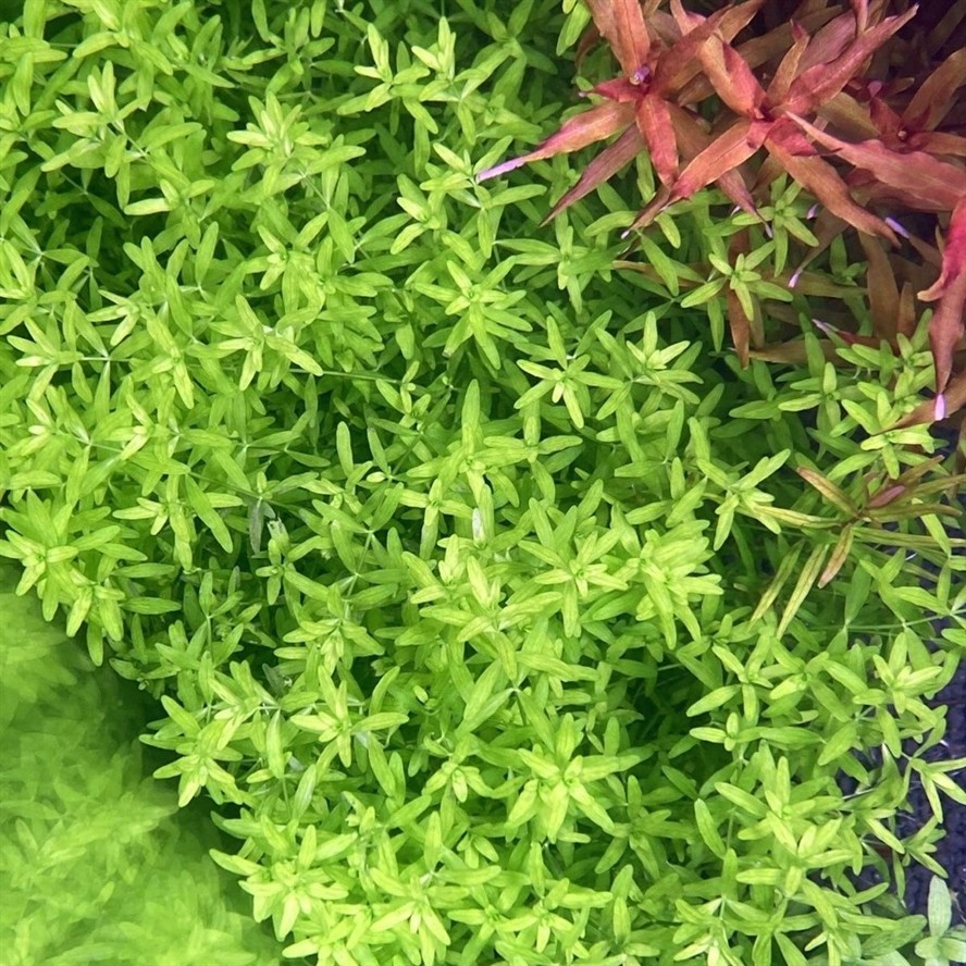 出水草，換電費(fèi)