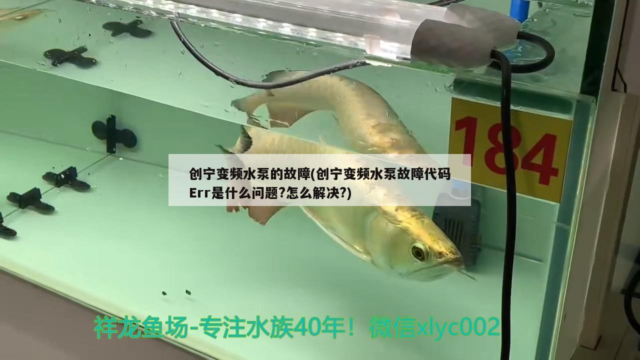 創(chuàng)寧變頻水泵的故障(創(chuàng)寧變頻水泵故障代碼Err是什么問(wèn)題?怎么解決?)