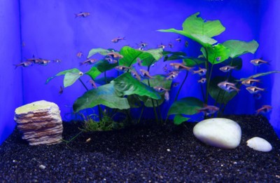 博興森森水族館電話號碼