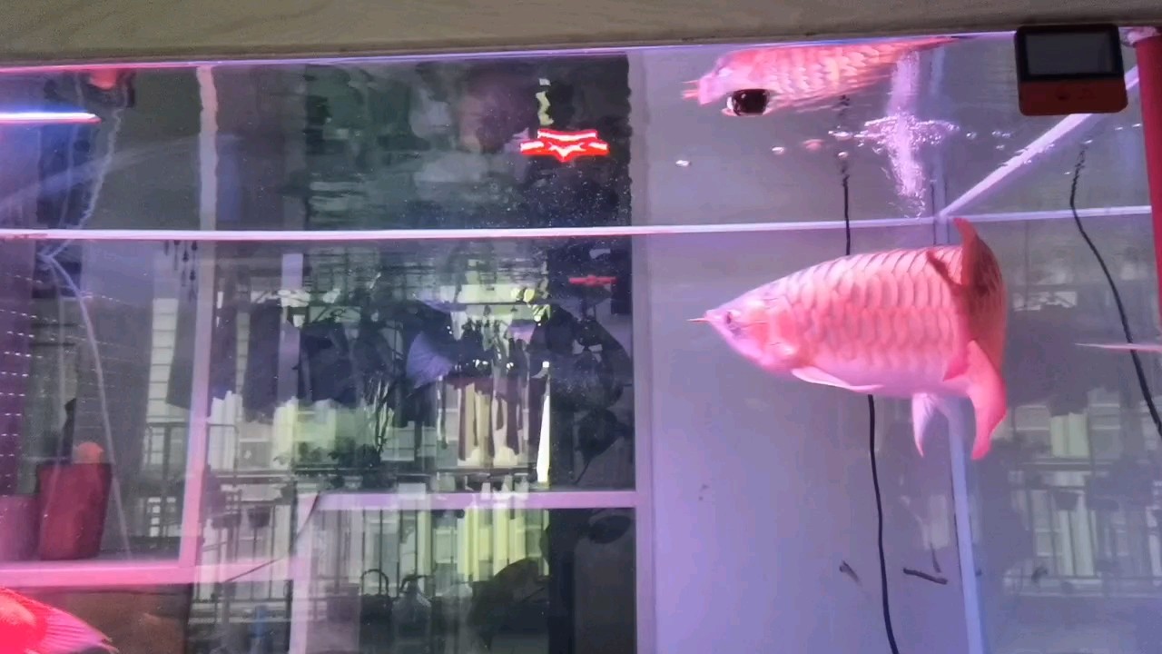打卡！