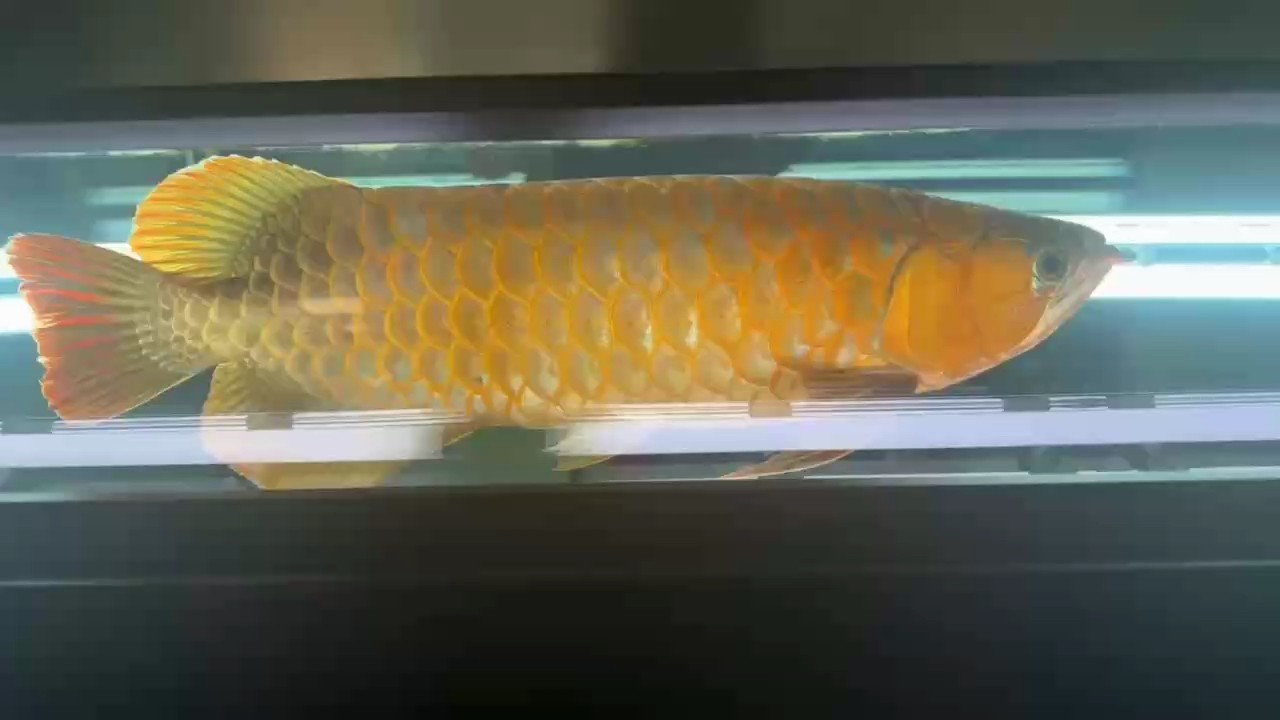 10.1快樂