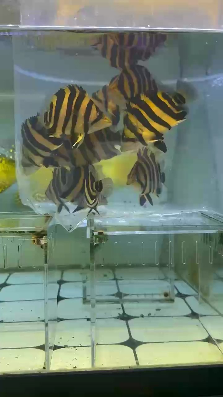 開工的一天～