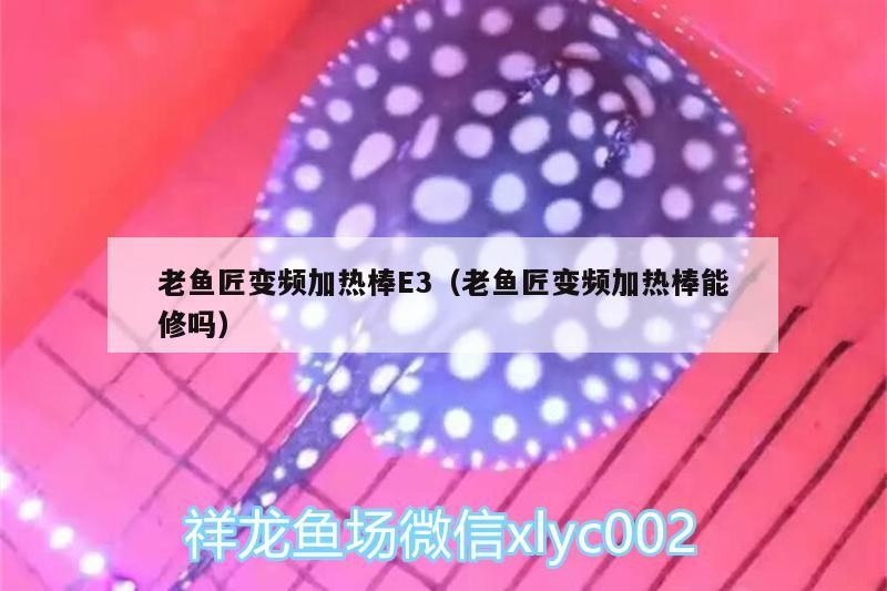 老魚匠變頻加熱棒E3（老魚匠變頻加熱棒能修嗎）