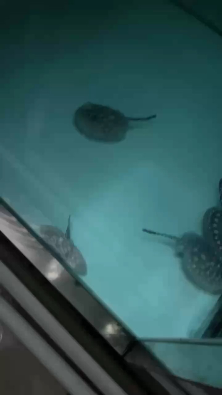每一步努力都在積累收獲