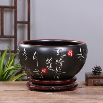馬來西亞名貴金龍魚可以帶回國嗎和泰國買金魚怎么帶回國，泰國龍魚可以帶回國嗎和泰國買金魚怎么帶回中國的介紹到此就結束了