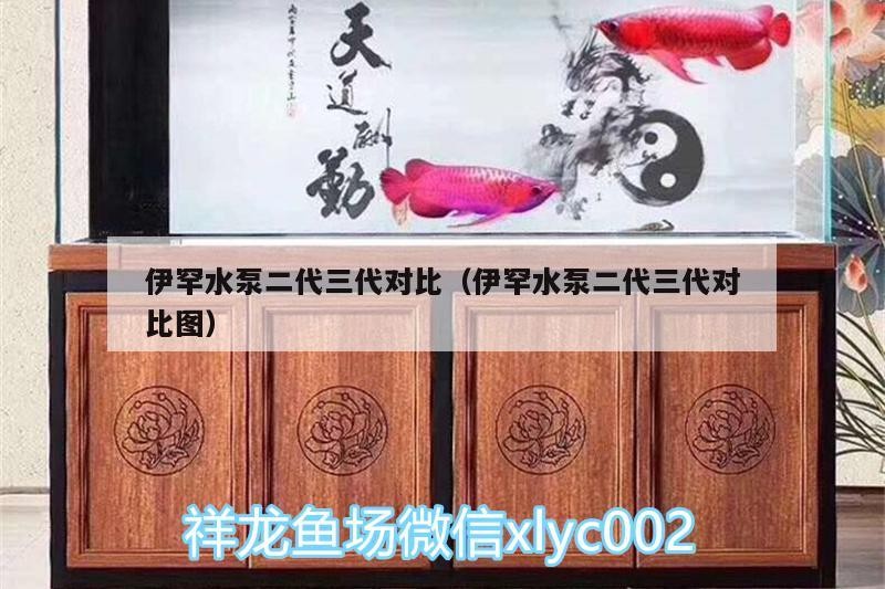 伊罕水泵二代三代對比（伊罕水泵二代三代對比圖）