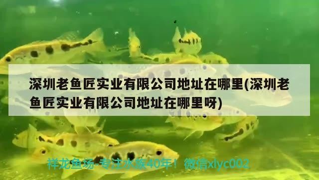 深圳老魚匠實業有限公司地址在哪里(深圳老魚匠實業有限公司地址在哪里呀)