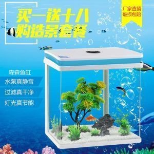 龍魚從舊缸換到新缸vs祥龍魚場：祥龍魚場的養殖方法，龍魚適應新環境的技巧