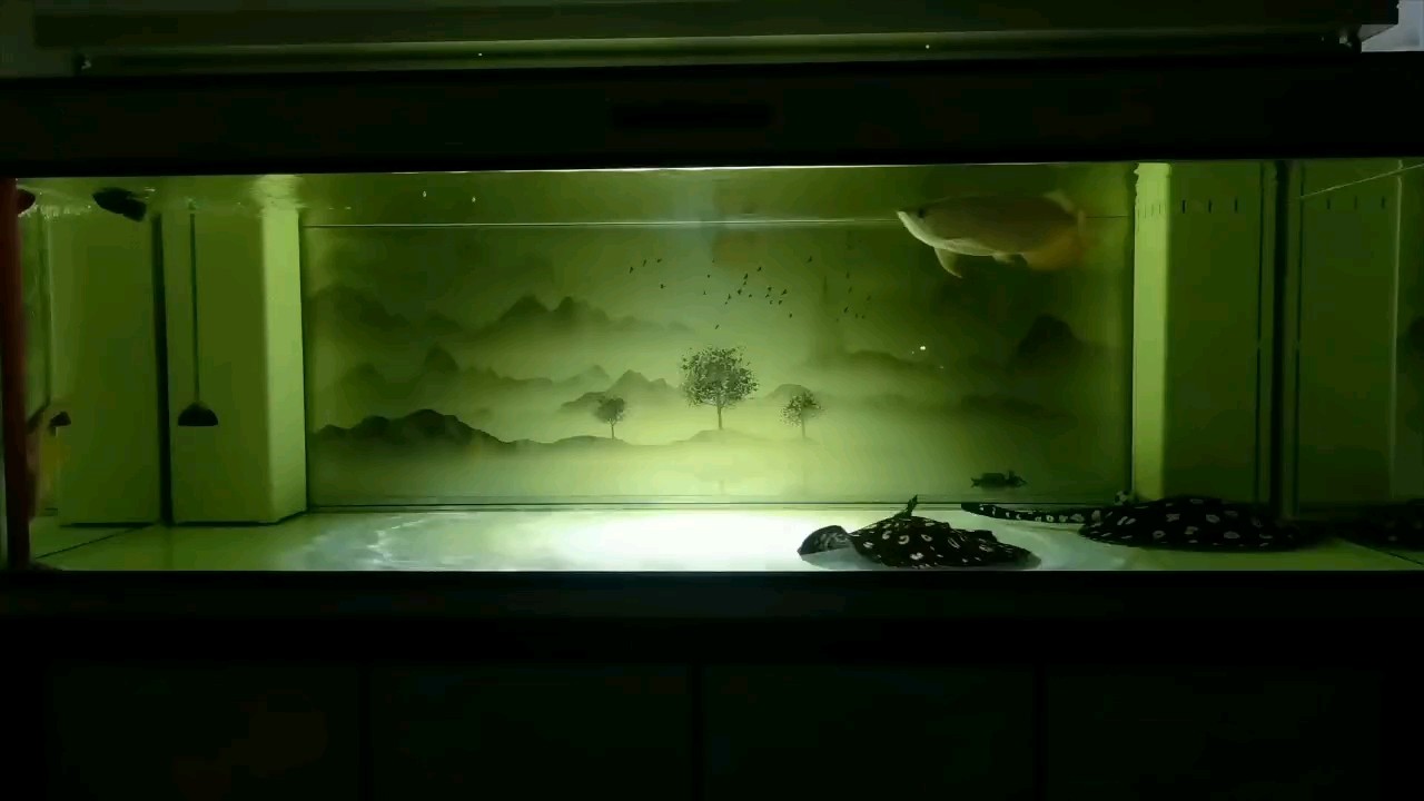 回家的路，是最美的風景。