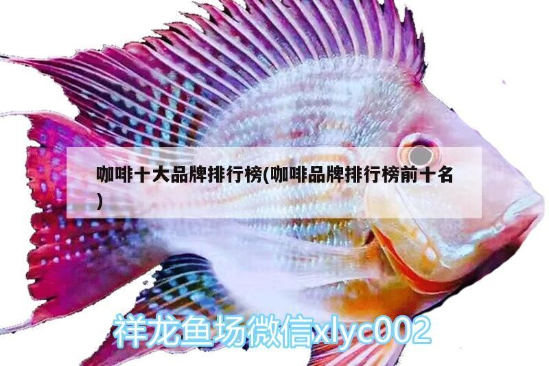 咖啡十大品牌排行榜(咖啡品牌排行榜前十名)