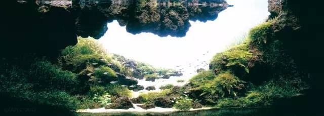 老魚匠水泵怎么清洗（老魚匠水泵清洗圖解）