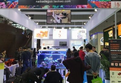 2024廣州寵物水族展：2024廣州寵物水族展是什么？