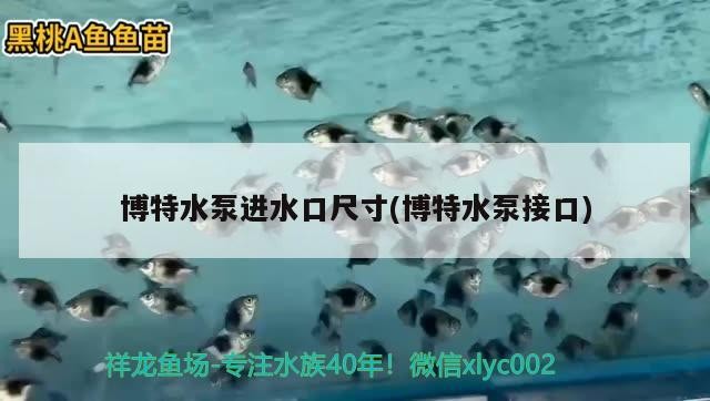 博特水泵進水口尺寸(博特水泵接口)