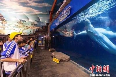 呂梁水族館vs祥龍魚場(呂梁水族館與祥龍魚場的區別) 全國水族館企業名錄 第3張 呂梁水族館vs祥龍魚場(呂梁水族館與祥龍魚場的區別) 呂梁水族館vs祥龍魚場(呂梁水族館與祥龍魚場的區別) 全國水族館企業名錄 第3張