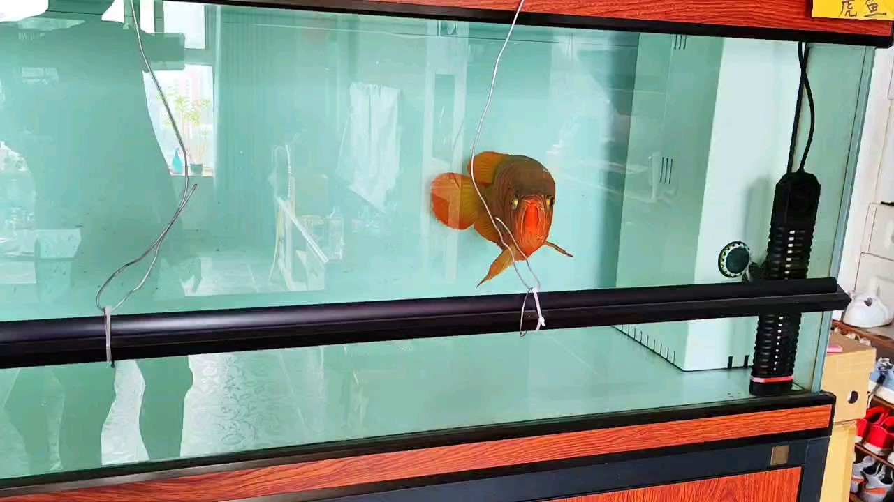 無(wú)燈