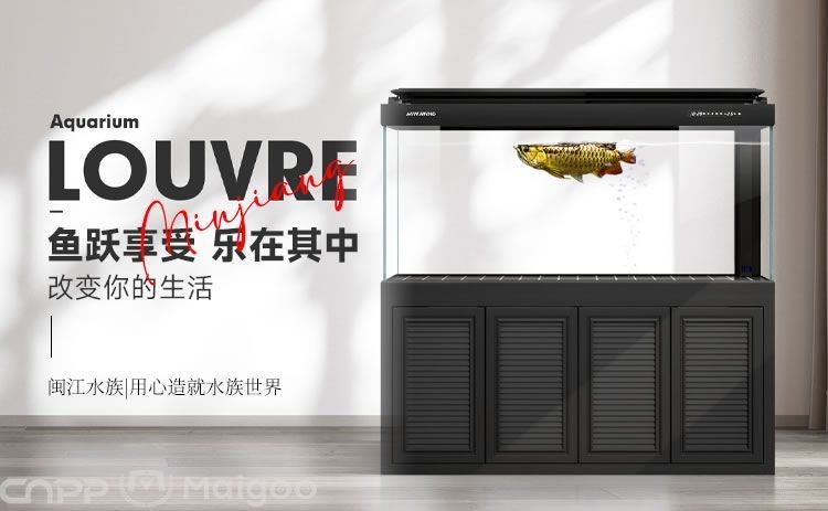 森森和松寶魚缸怎么選