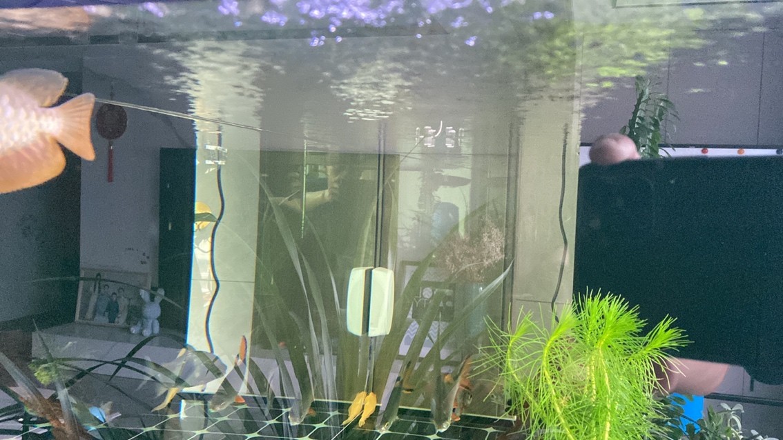 新迎小紅龍，坐飛機從廣州到銀川。狀態還挺