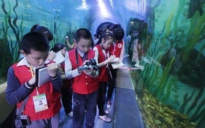 柳州水族館vs祥龍魚場（探討柳州水族館與祥龍魚場之間的差異，我們需要明確兩者的主要業務和特點）