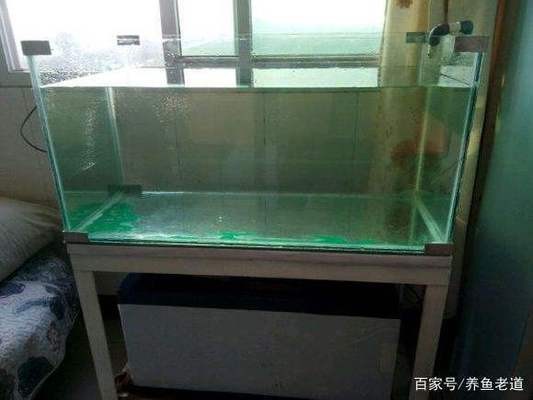 博特魚缸（博特魚缸怎么樣）