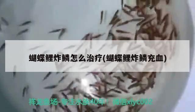 金龍魚炸鱗用土霉素可以嗎vs祥龍魚場：金龍魚炸鱗可以用土霉素治療金龍魚的炸鱗治療方法