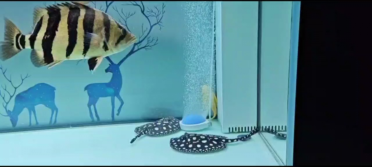 堅持
