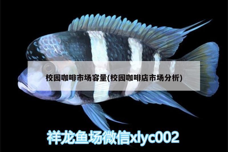 校園咖啡市場容量(校園咖啡店市場分析)