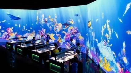 廊坊水族館vs祥龍魚場（廊坊水族館與祥龍魚場各有側(cè)重）