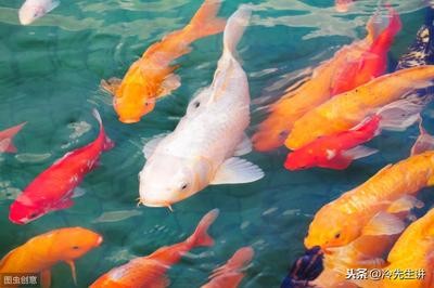 葫蘆放客廳哪個位置好：葫蘆放客廳大忌三個