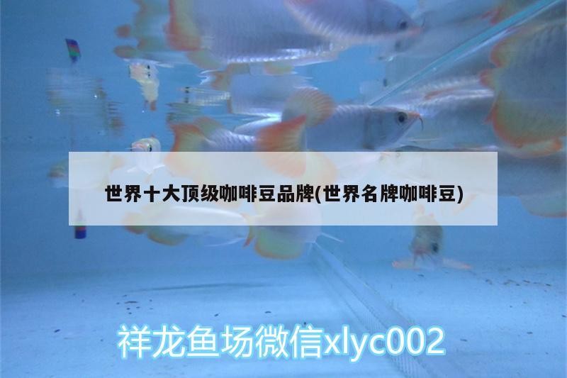 世界十大頂級咖啡豆品牌(世界名牌咖啡豆)