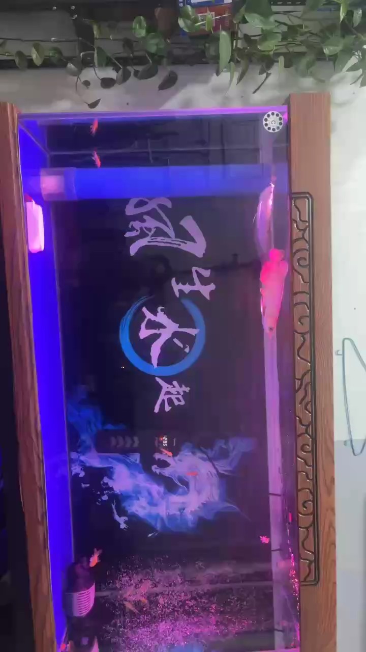 魚缸過濾器選購指南:自制魚缸過濾器魚缸上置過濾器對于養魚愛好者的必備知識 大哥們 這算不算沉頭 龍魚論壇 大哥們 這算不算沉頭 大哥們 這算不算沉頭 龍魚論壇