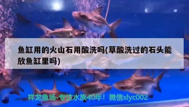 大連長興島臨港工業(yè)區(qū)長興島辦事處欣怡花鳥魚店