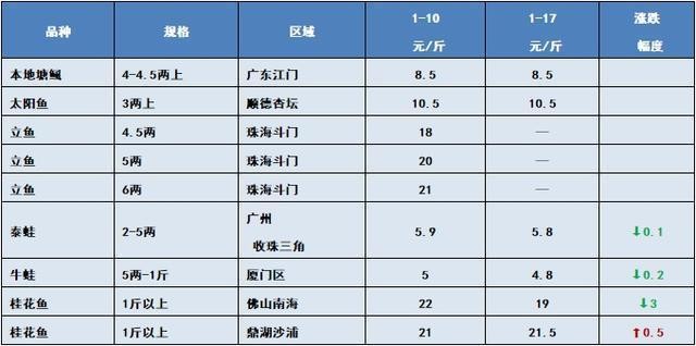 紅龍與金龍魚區(qū)別：紅龍與金龍魚區(qū)別在哪