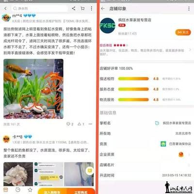 紅龍魚喜歡老水還是新水：紅龍魚喜歡老水還是新水養