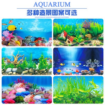 紅龍魚發色水溫26度會死嗎：紅龍魚發色水溫26度會死嗎為什么