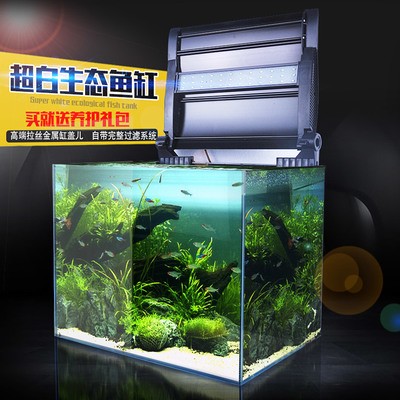 紅龍魚40公分還沒紅正常么：紅龍魚40長(zhǎng)到60需要多久