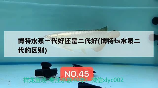 博特水泵一代好還是二代好(博特ts水泵二代的區(qū)別)