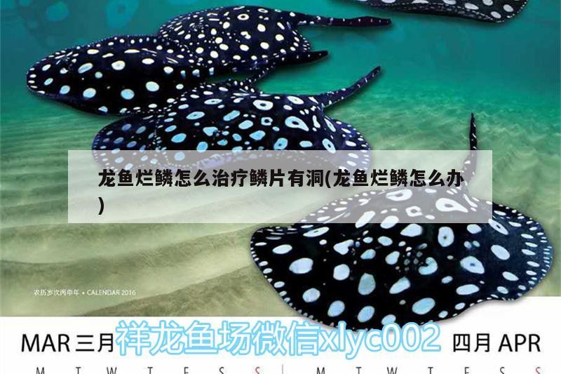 威信縣陽光花里花藝造景店