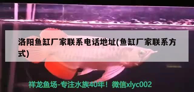 洛陽魚缸廠家聯系電話地址(魚缸廠家聯系方式)