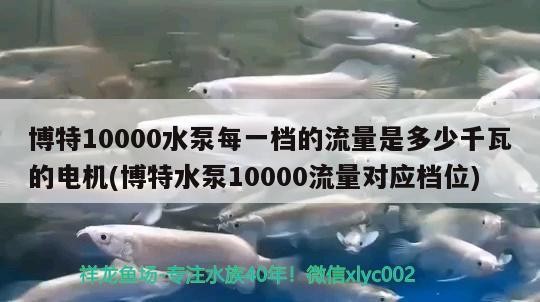 博特10000水泵每一檔的流量是多少千瓦的電機(jī)(博特水泵10000流量對(duì)應(yīng)檔位)