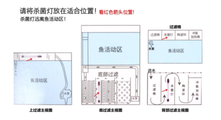 紅龍價格一覽表：紅龍價格一覽表2023