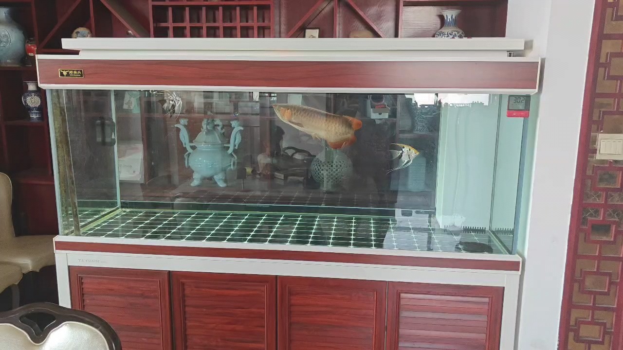 日常打卡，提前祝各位魚友國慶快樂！