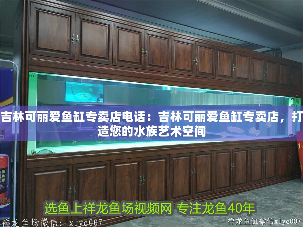 吉林可麗愛魚缸專賣店電話：吉林可麗愛魚缸專賣店，打造您的水族藝術空間