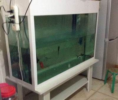 烏魯木齊魚缸定做定制，烏魯木齊幾家提供魚缸定制服務(wù)的店鋪