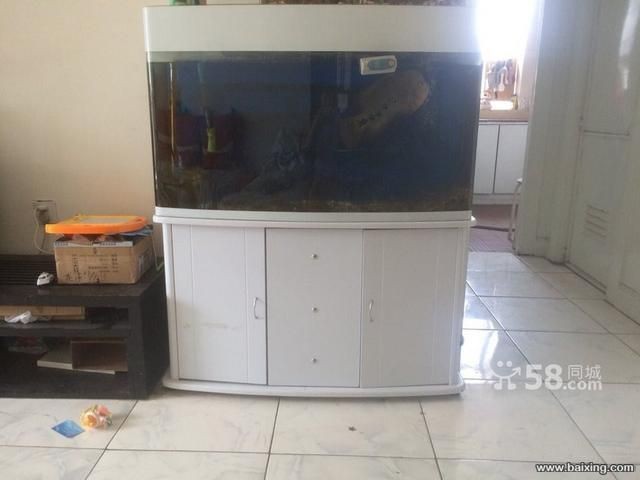 烏魯木齊魚缸定做定制，烏魯木齊幾家提供魚缸定制服務(wù)的店鋪