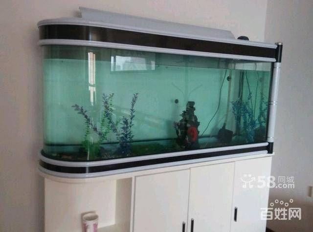 烏魯木齊魚缸定做定制，烏魯木齊幾家提供魚缸定制服務(wù)的店鋪