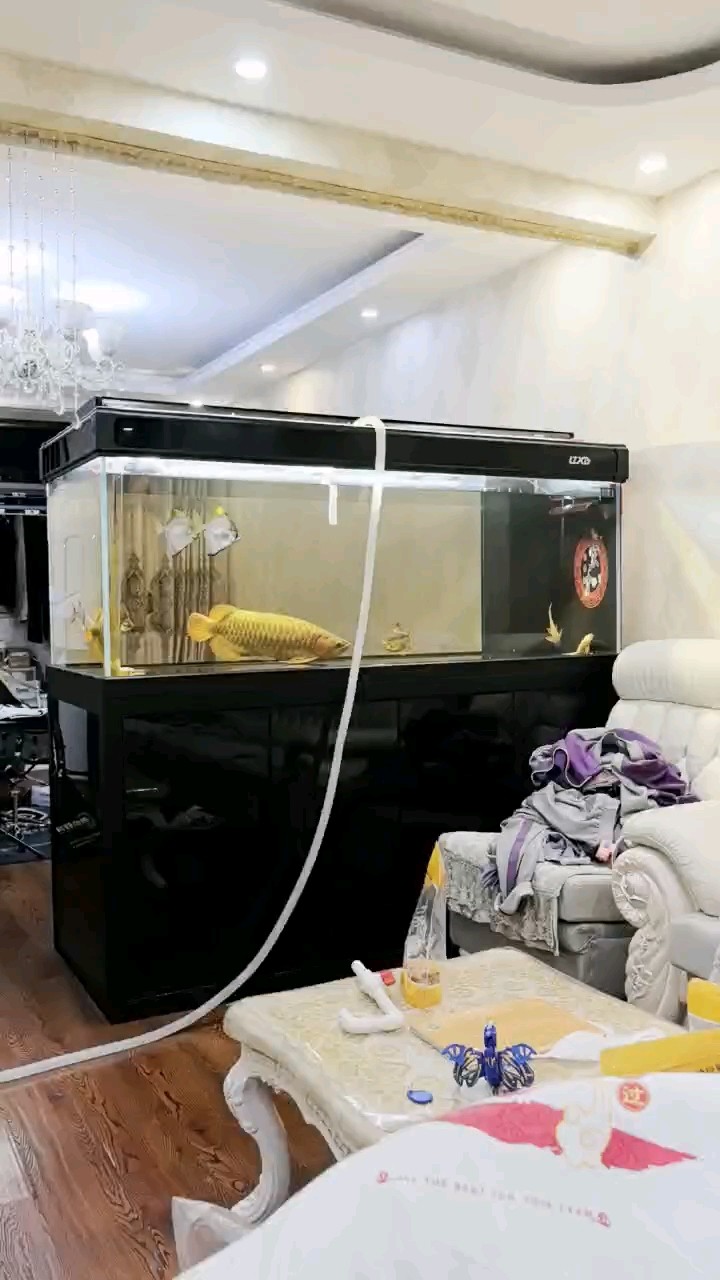 下點(diǎn)土霉素