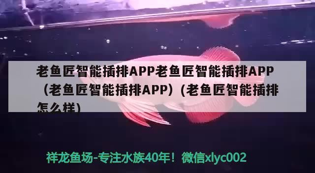 老魚匠智能插排APP老魚匠智能插排APP（老魚匠智能插排APP）(老魚匠智能插排怎么樣)