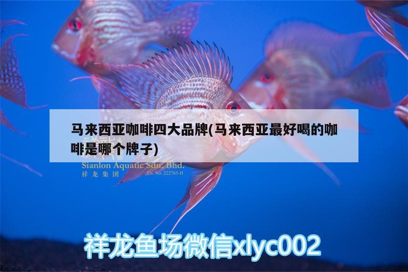 馬來西亞咖啡四大品牌(馬來西亞最好喝的咖啡是哪個(gè)牌子)