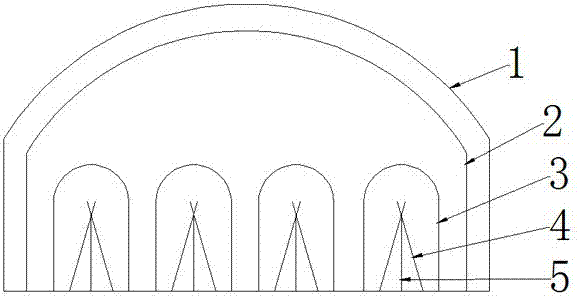黑龍睛魚有什么寓意：普通家庭不能養黑色金魚